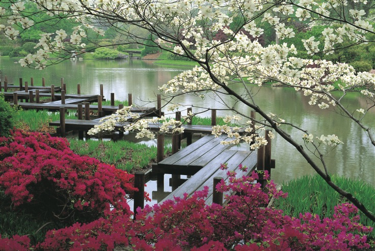 Sandy Smith of Womble Carlyle History of Japanese Gardens